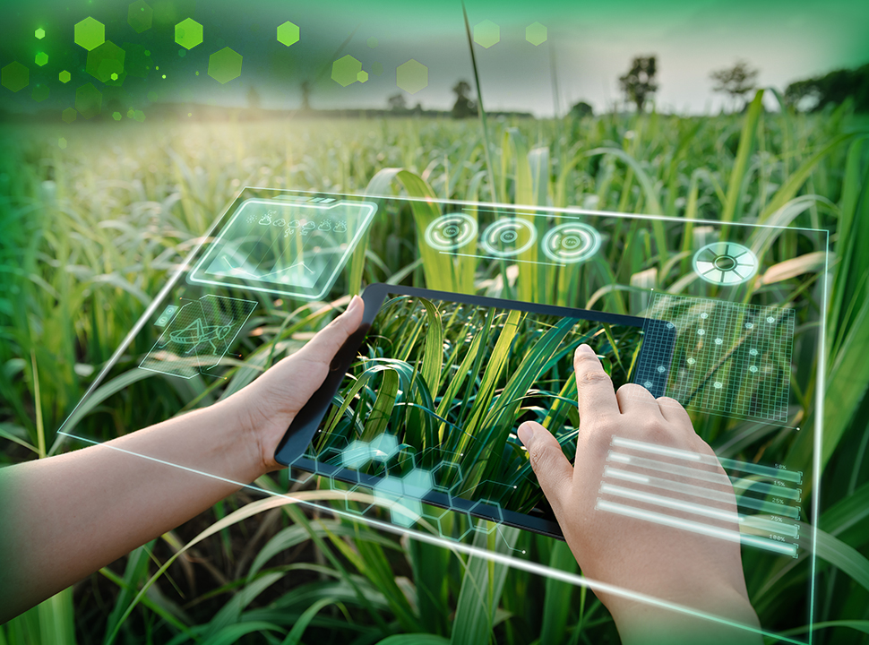 GreenNewsDesk Review: What It Is & Is It Safe?